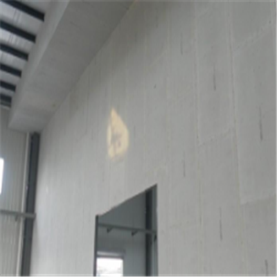 阳城宁波ALC板|EPS加气板隔墙与混凝土整浇联接的实验研讨